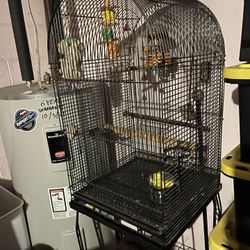 Bird Cage