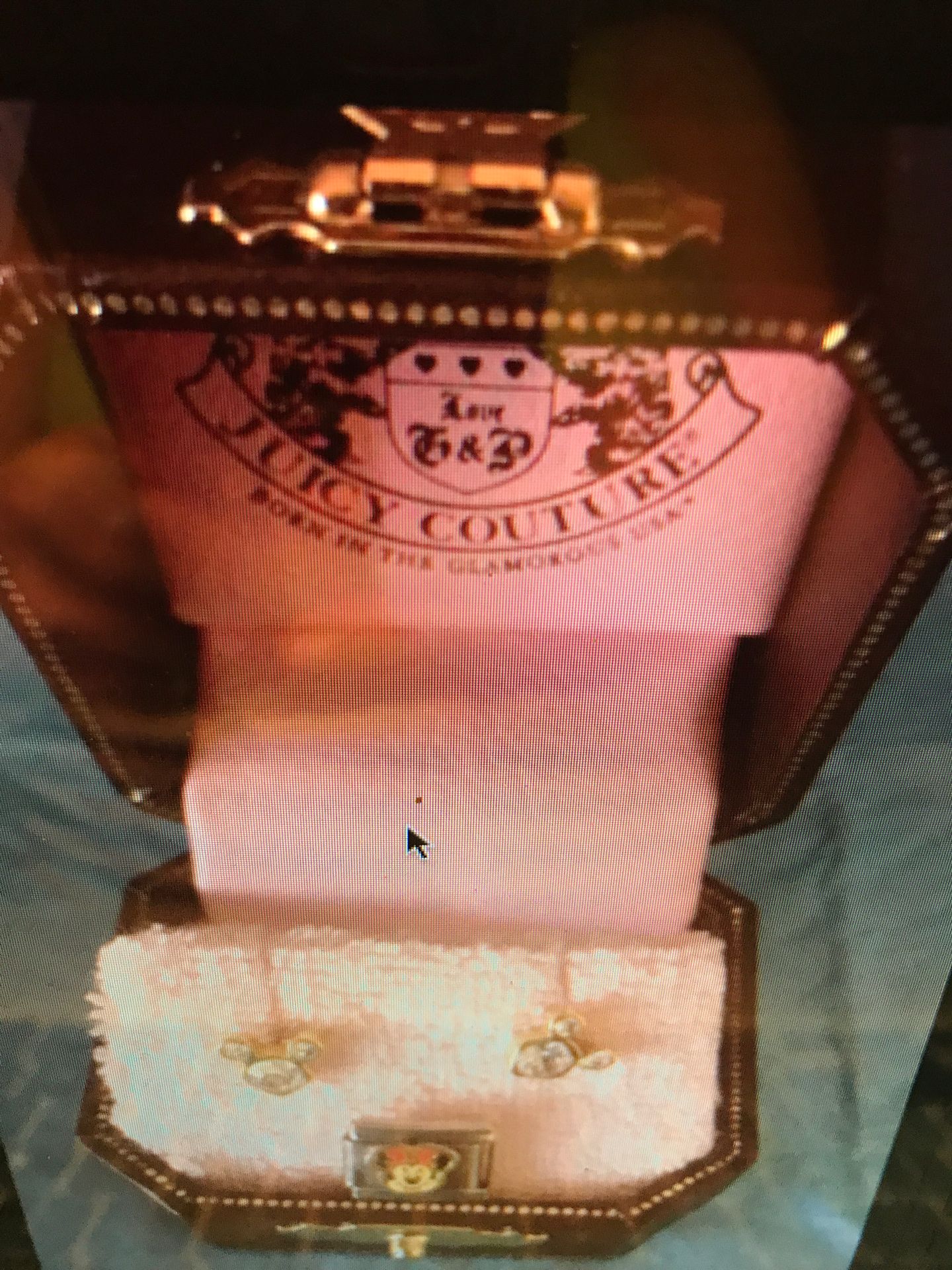 Minnie mouse earrings in a nice box with an extra charm