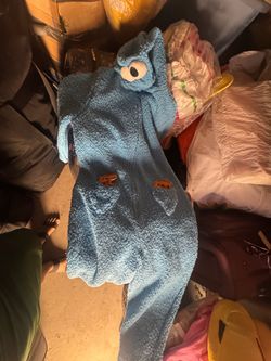 Cookie Monster