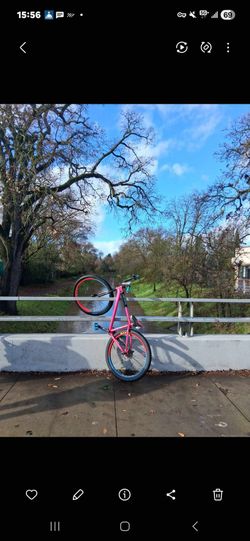 Mafia Traffic 27.5in