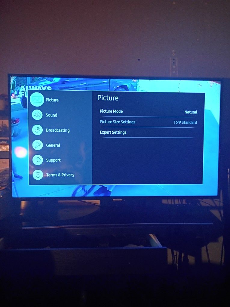 43" Samsung Smart T.V.