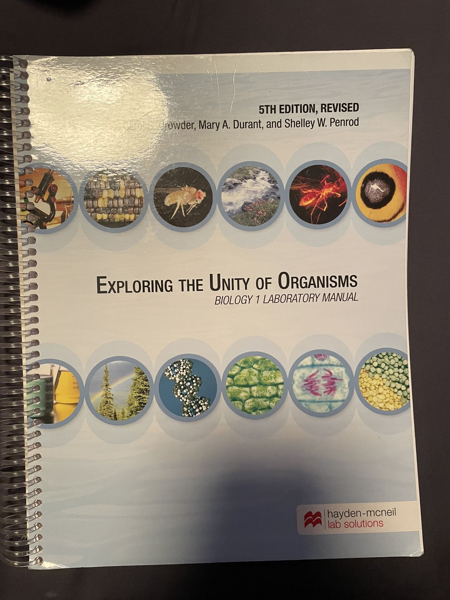 Exploring The Unity Or Organisms