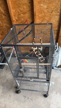 Bird cage