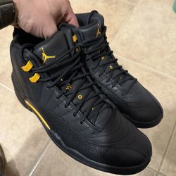 Jordan 12