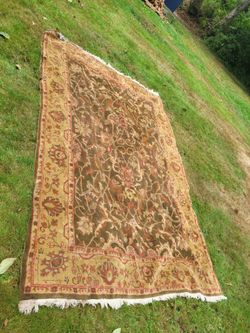 Large Traditional Floral Area Rug