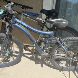 Genesis Bella Vista Full Suspension Mountain Bike 24 Inch