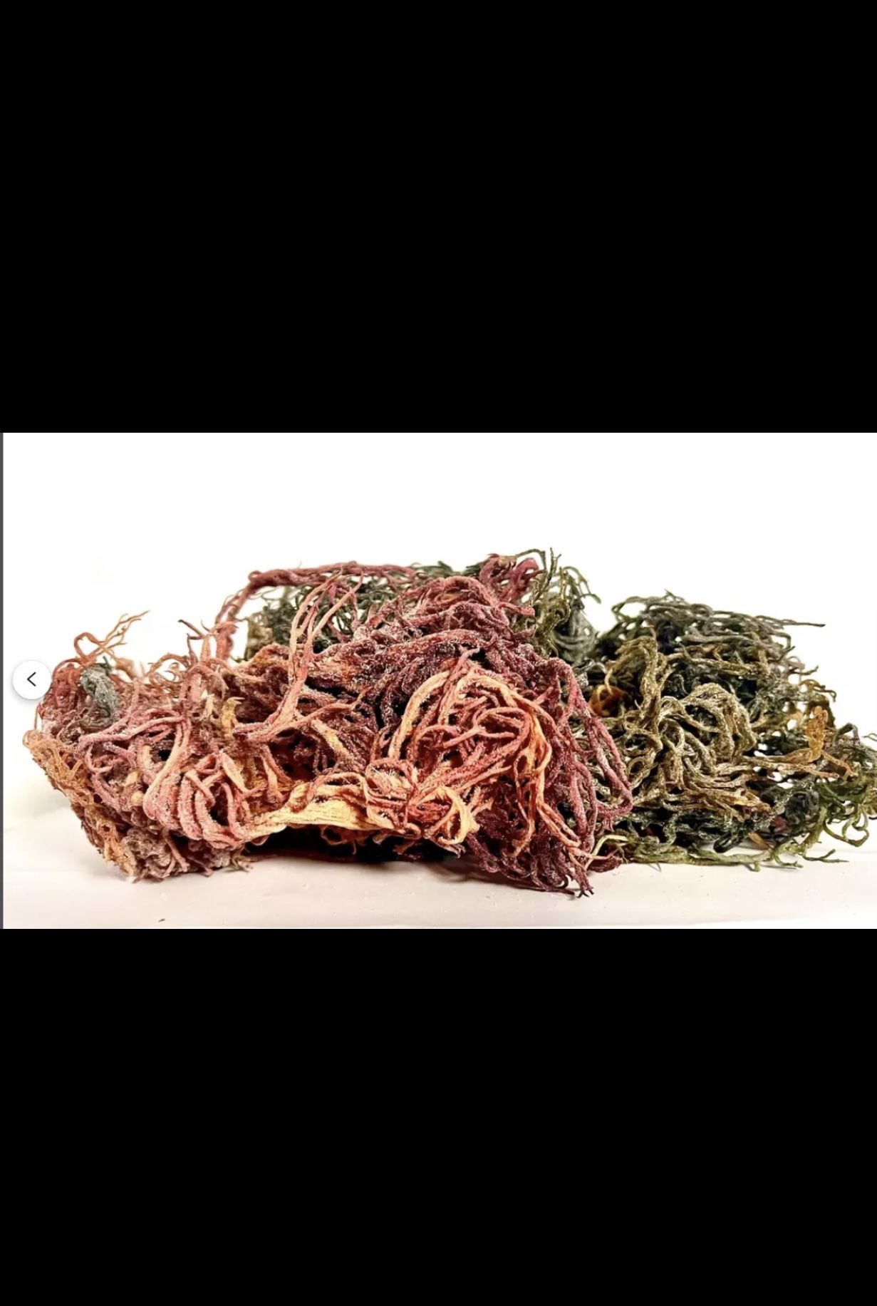 RARE Wild Harvested Full Spectrum Multi-Colored Irish Moss