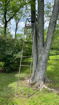 Ladder tree stand