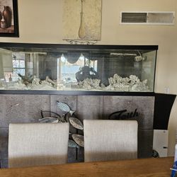 Saltwater Aquarium 