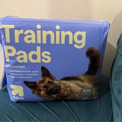 Dog Training Pads - XXL - 40ct