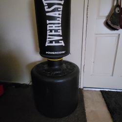 Punching Bag