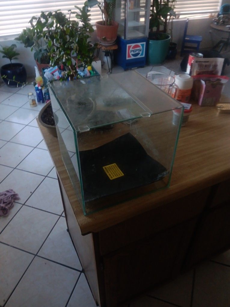 Fish Tank/ Aquarium 