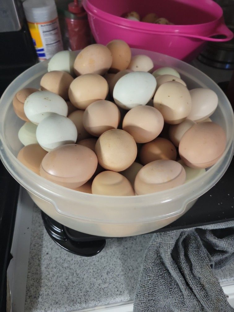 Eggs