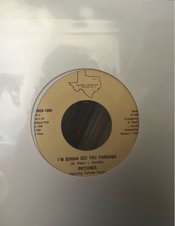 The Pictures - I'm Gonna See You Through