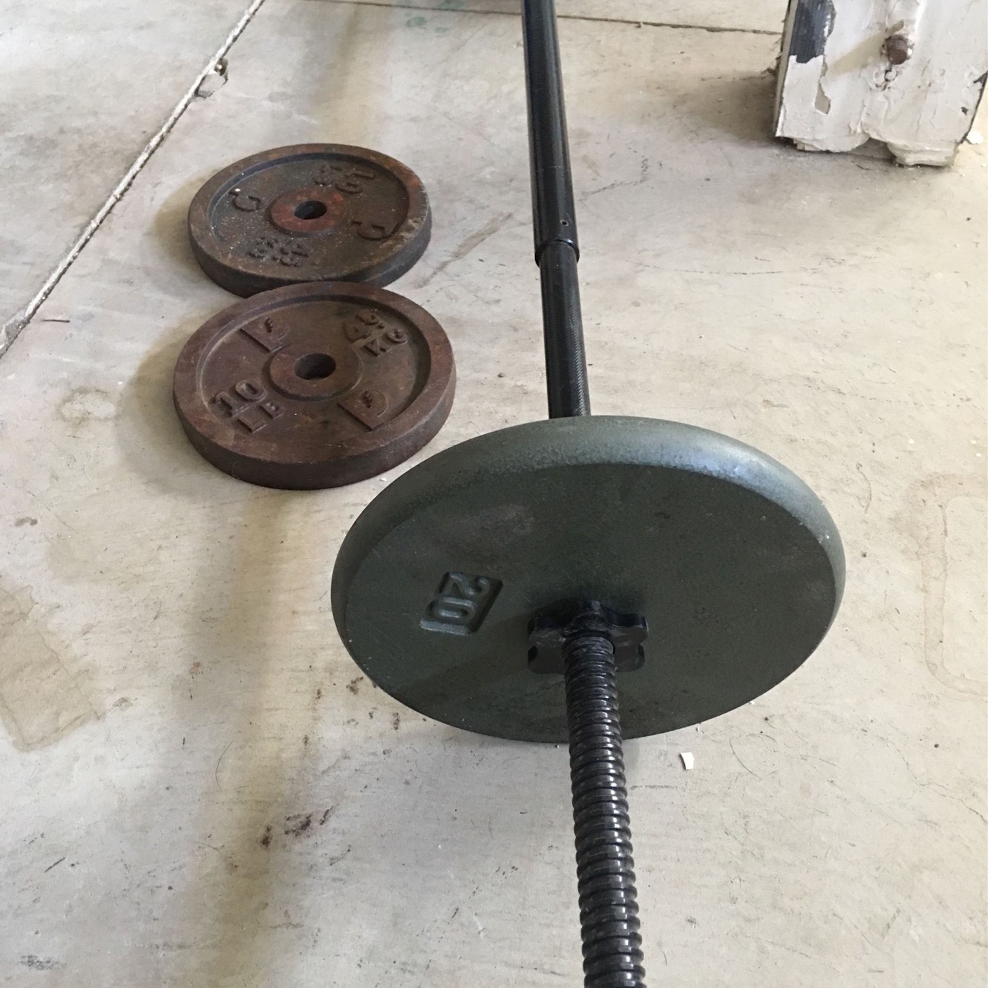 Standard Curl Bar