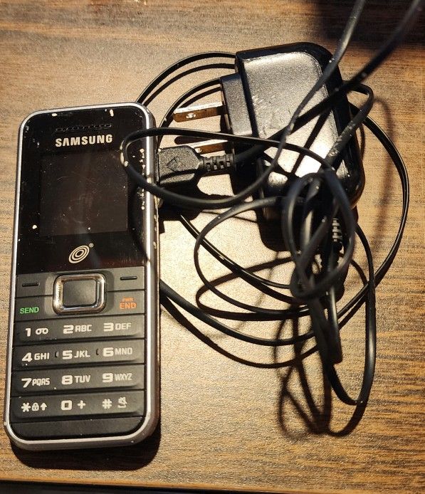 Samsung Cell Phono