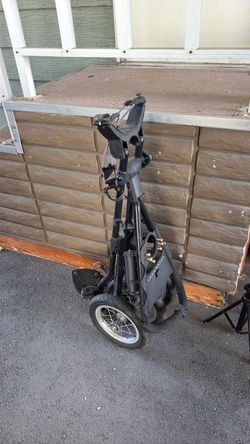 Gold bag push cart