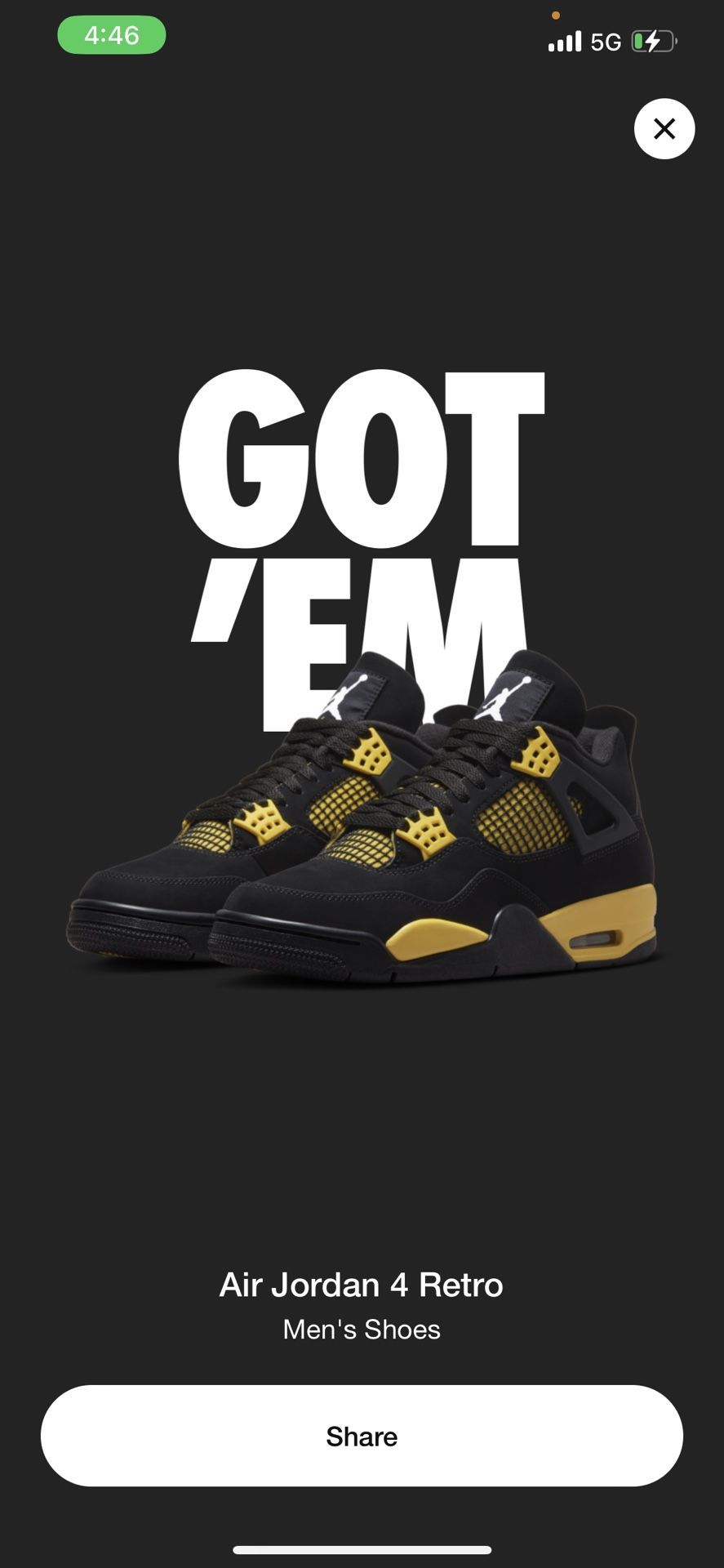 Air Jordan 4 Thunder