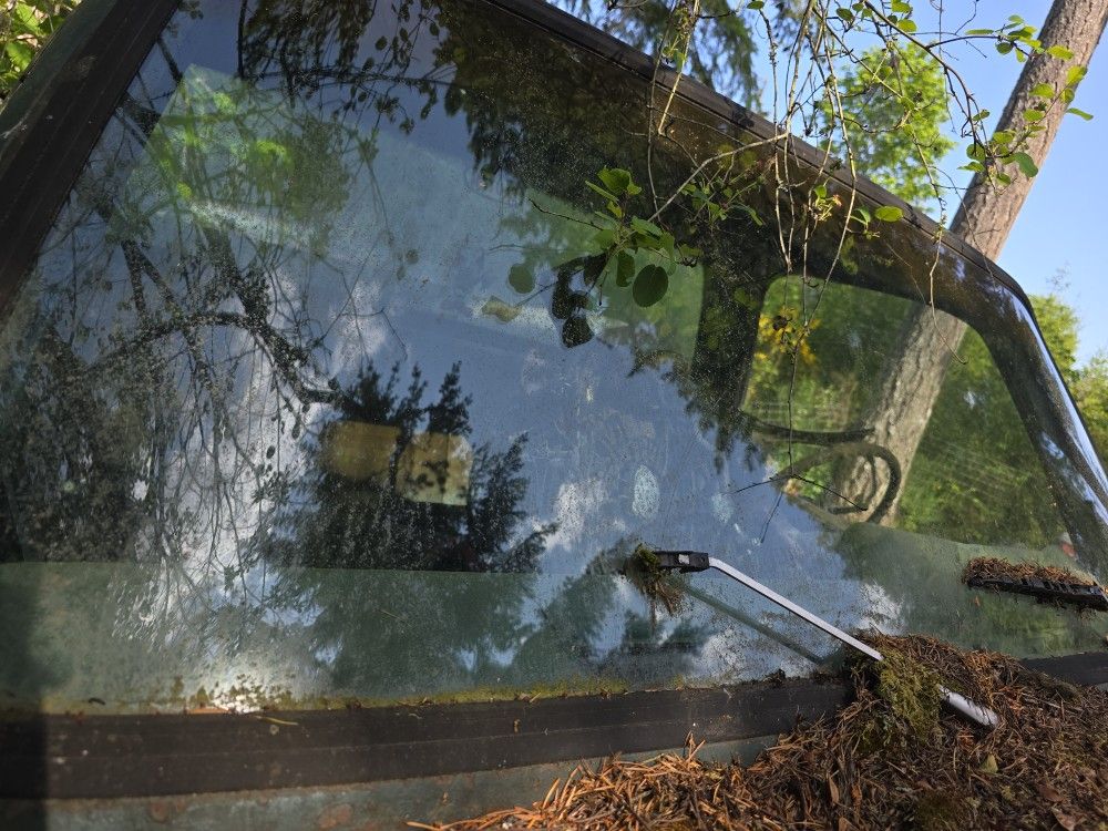 Parts 75 Chevy Truck Window