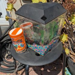 Fish Tank