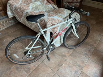 Rockhopper Mountain Bike