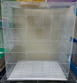 Pet Supplies Great Prices