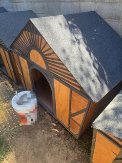 Large dog house