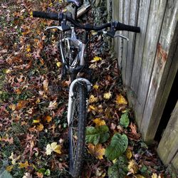 Mongoose Mountain Bike