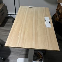 Branch Standing Desk 