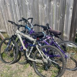 Bike 60 each 