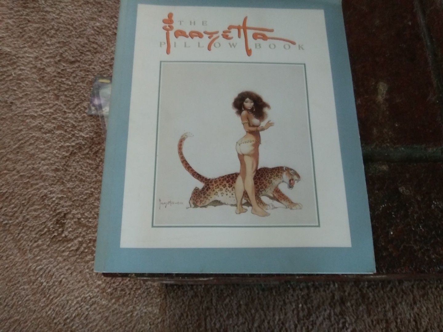 Frank Frazetta pillow book