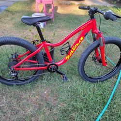 Ssalsa Bicycle