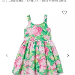 Janie And Jack Brand NEW Rose Pleated Dress