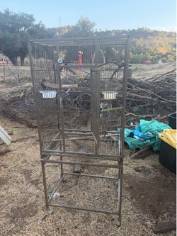 Bird Cage