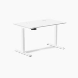 Electric Standing Desk