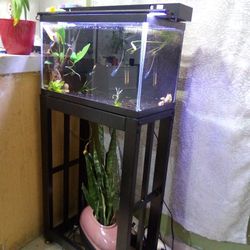 10gallon Fishtank And  Stand With Everything Inside 
