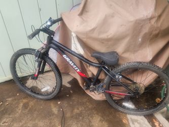 24" BIKE GRAVITY NUGGET