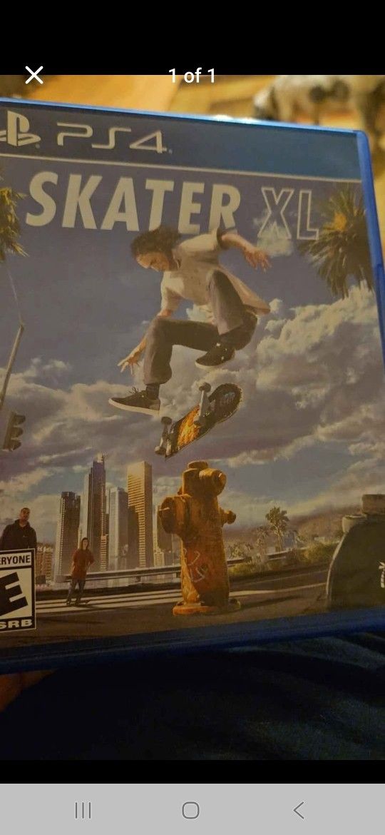 PS4 XL Skater Game