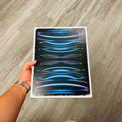iPad Pro12.9 inch