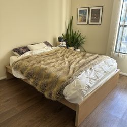 Tempur-Pedic Queen Memory Foam Mattress + Bed Frame