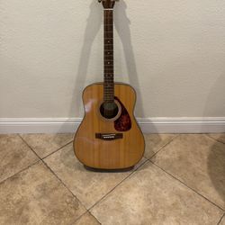 Acoustic Guitar 
