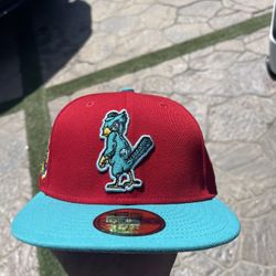 Fitted Hat