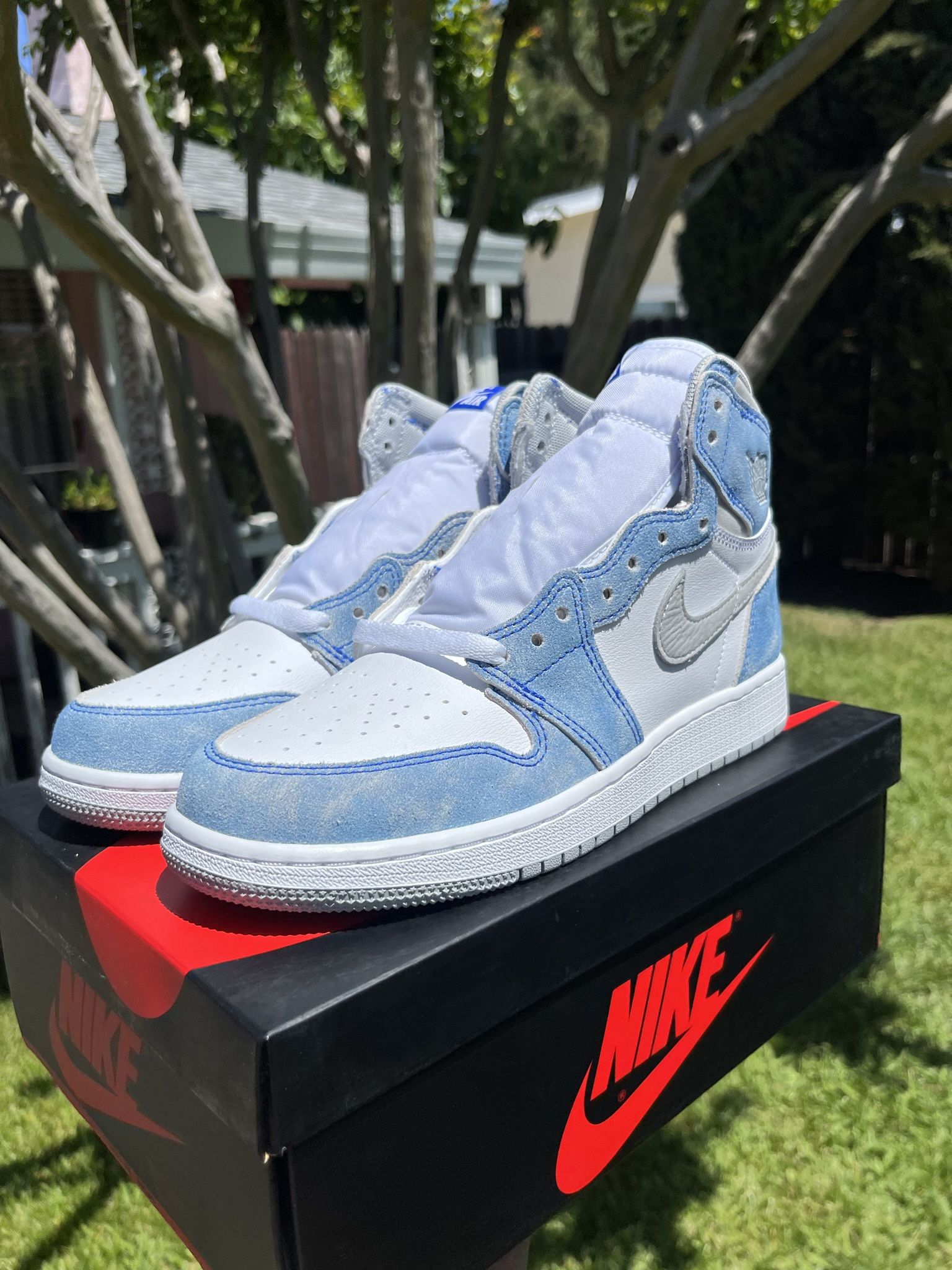 Air Jordan 1 Hyper Royal