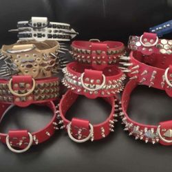 Dog Collars