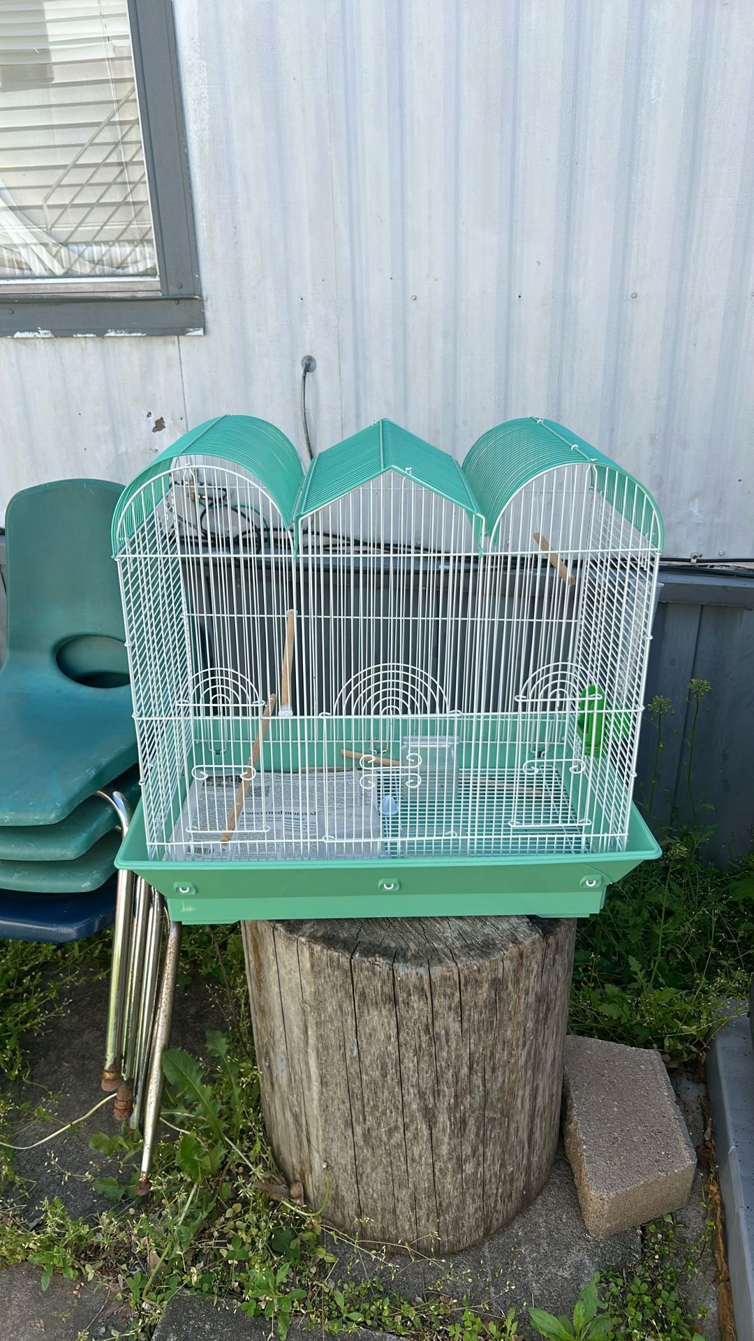 Bird Cage