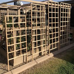 Plant Trellis starting at $10  Vegetables, garden, flowers, vines.