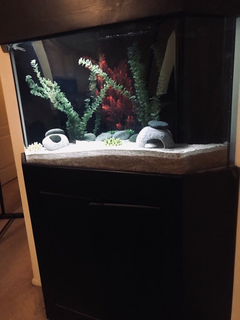 Fish tank