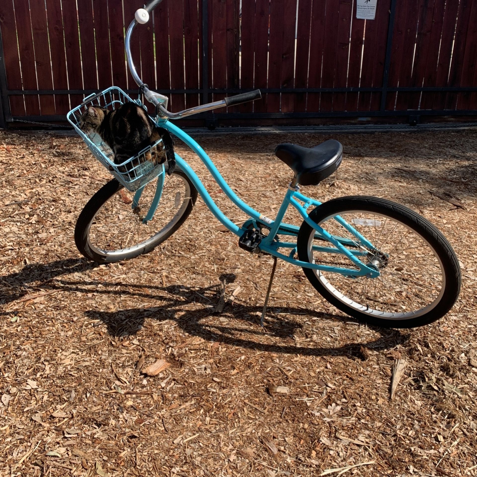Tuesday Women’s Cruiser Fixed Gear Cruiser Biker Designed In So Cal Teal Bike With Basket