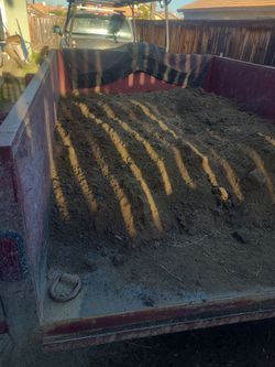Clean Free Dirt