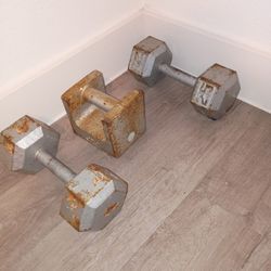 Weights  10 -20 $ 30 For All